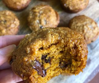 pumpkin muffins with melty chocolate chips